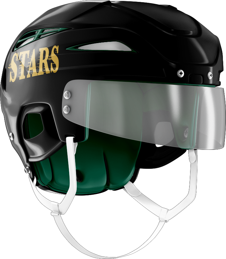 CT ECHO Stars Helmet Stickers