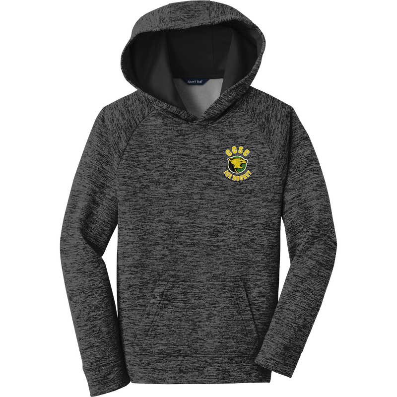 Chester County Youth PosiCharge Electric Heather Fleece Hooded Pullover